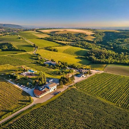 Hotel Hilltop Borbirtok & Etterem Neszmély Zewnętrze zdjęcie