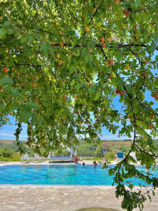 Hotel Hilltop Borbirtok & Etterem Neszmély Zewnętrze zdjęcie